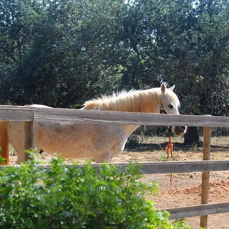 Tenuta Ferraro * Gallipolli