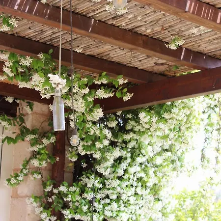 Tenuta Ferraro * Gallipolli
