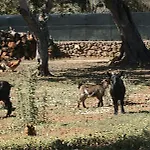 Tenuta Ferraro * Gallipoli