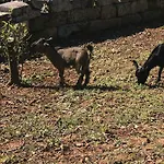 Farm stay Tenuta Ferraro *