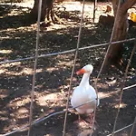 Tenuta Ferraro Farm stay
