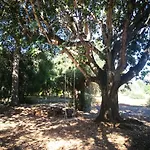 Tenuta Ferraro Farm stay *