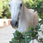 Tenuta Ferraro Farm stay