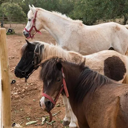 Tenuta Ferraro Séjour à la ferme Gallipoli