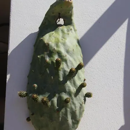 Séjour à la ferme Tenuta Ferraro