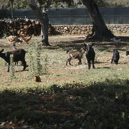 Séjour à la ferme Tenuta Ferraro Gallipoli
