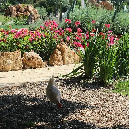 Séjour à la ferme Tenuta Ferraro