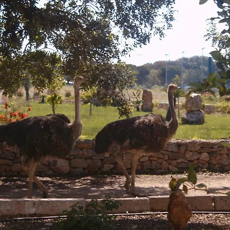 Tenuta Ferraro Alloggio per agriturismo *