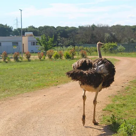 Tenuta Ferraro * Gallipoli