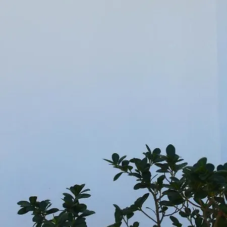 Tenuta Ferraro Gallipoli