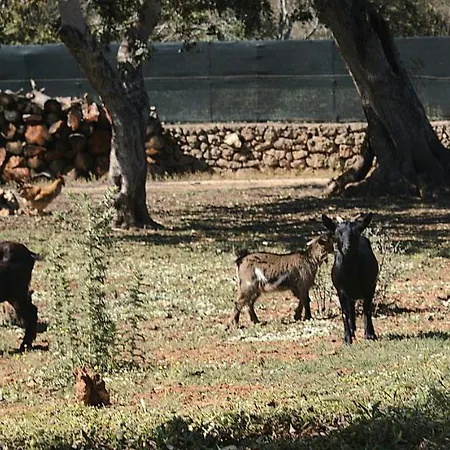 Tenuta Ferraro * Gallipoli