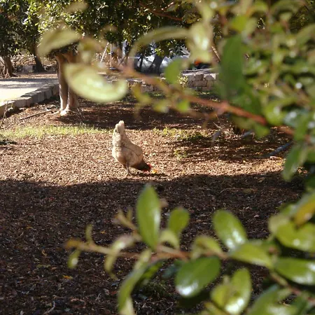 Tenuta Ferraro Séjour à la ferme *