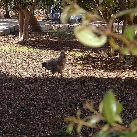 Tenuta Ferraro Séjour à la ferme