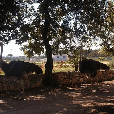 Séjour à la ferme Tenuta Ferraro Gallipoli