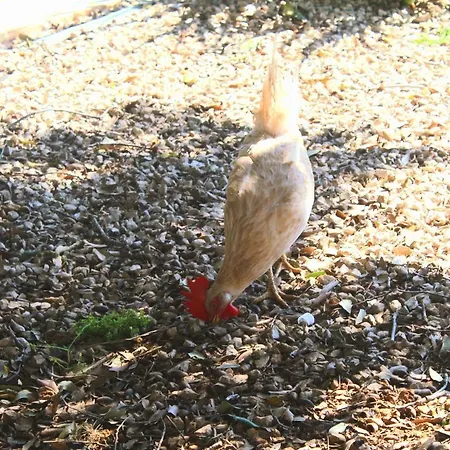 Séjour à la ferme Tenuta Ferraro