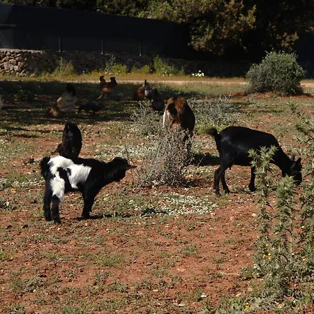 Séjour à la ferme Tenuta Ferraro Gallipoli