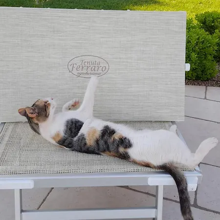 Tenuta Ferraro Gallipoli