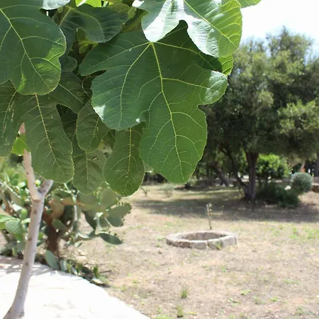 Tenuta Ferraro *