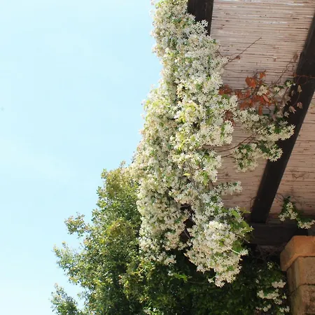 Tenuta Ferraro Alloggio per agriturismo