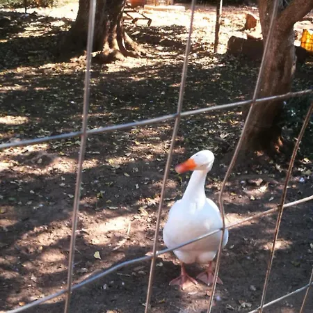 Tenuta Ferraro Séjour à la ferme