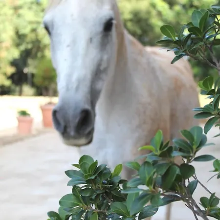 Tenuta Ferraro Séjour à la ferme
