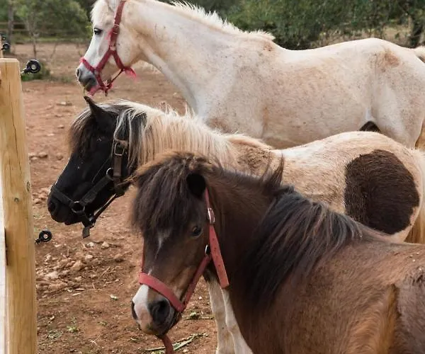 Tenuta Ferraro Vakantieboerderij Gallipoli