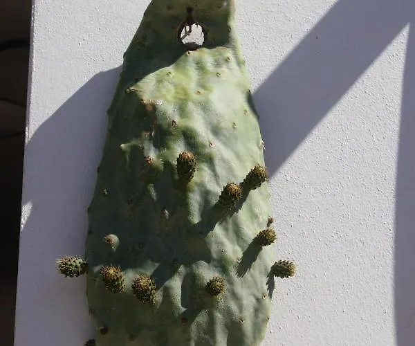 Farm stay Tenuta Ferraro