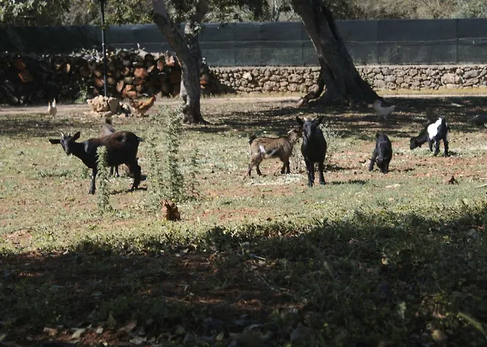 Vakantieboerderij Tenuta Ferraro Gallipoli