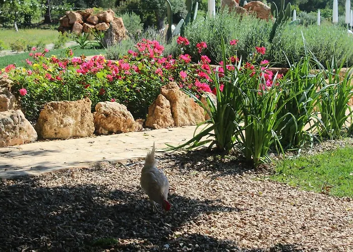 Farm stay Tenuta Ferraro