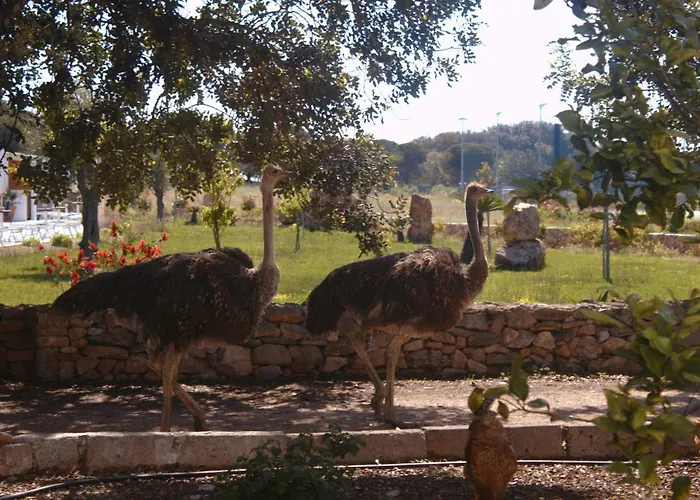 Tenuta Ferraro Vakantieboerderij *
