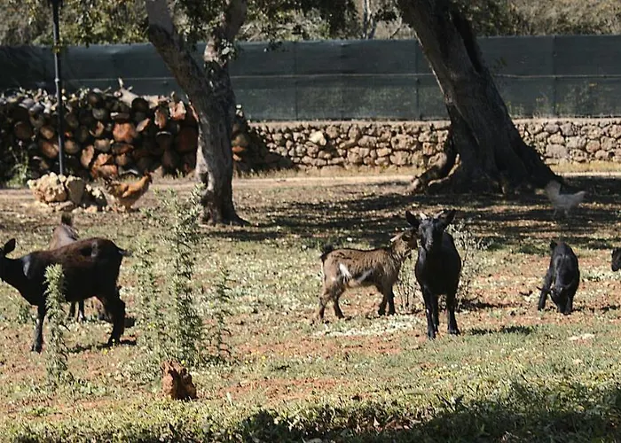 Tenuta Ferraro * Gallipoli