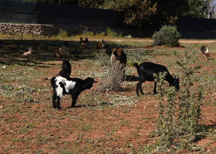 Vakantieboerderij Tenuta Ferraro Gallipoli