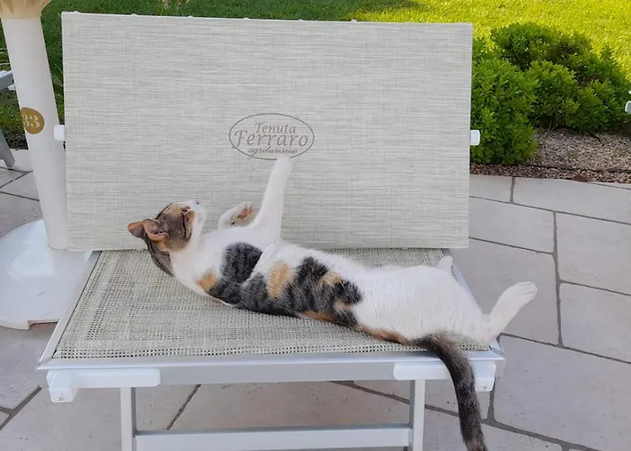 Tenuta Ferraro Gallipoli