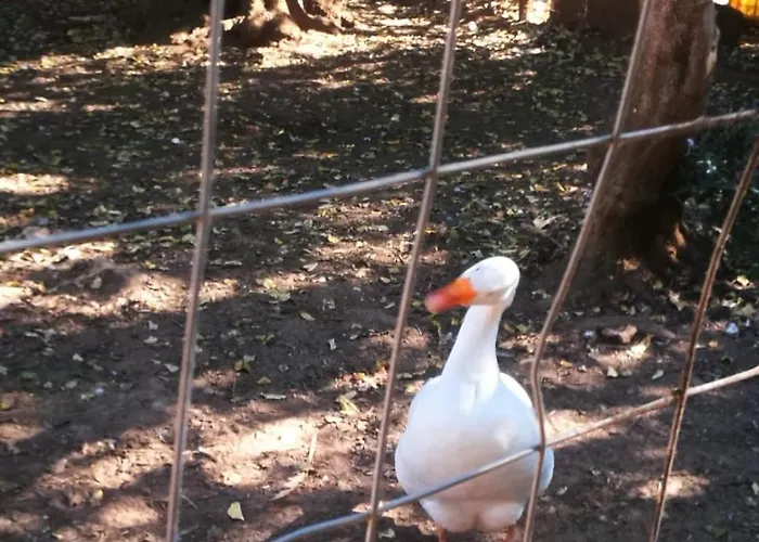 Tenuta Ferraro Vakantieboerderij